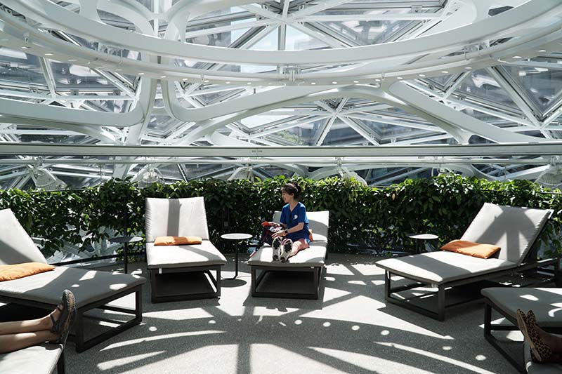 Visiting Seattle Amazon Spheres with Young Toddler